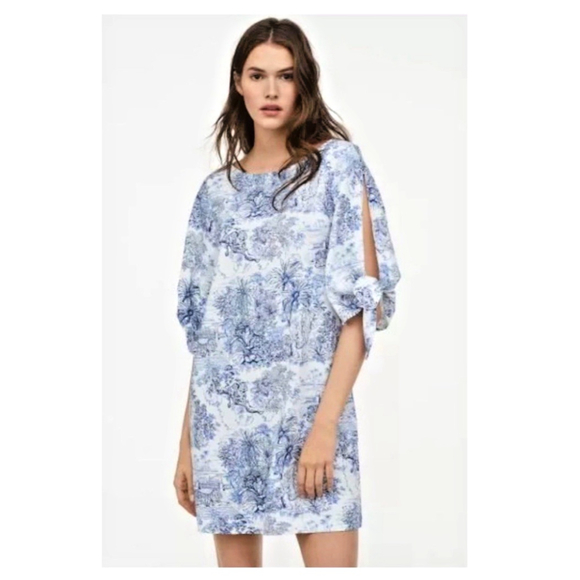 H&M Dresses & Skirts - H&M Toile de Jouy Dress size 4